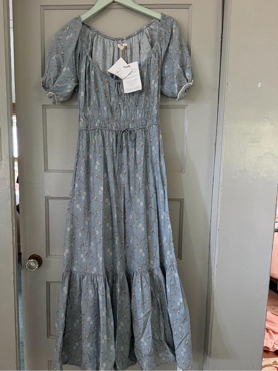 Christy Dawn Dresses & Skirts - Christy Dawn  Brynne Dress in Pansy blues S